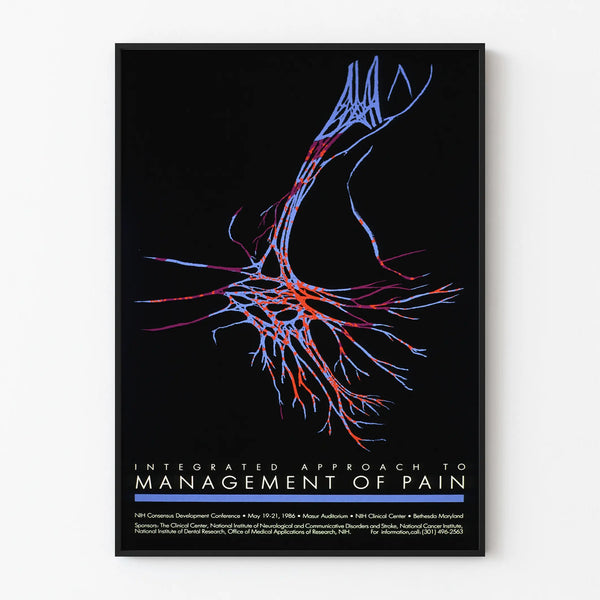 Decorative Poster Integrated Approach to Pain Management