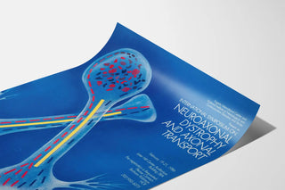 International Symposium Poster on Neuroaxonal Dystrophy and Axonal Transport