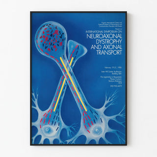 International Symposium Poster on Neuroaxonal Dystrophy and Axonal Transport