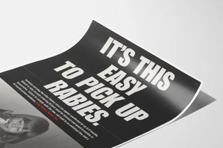 Rage Prevention Poster - Avoid Importation of the Disease