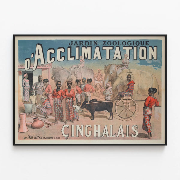 Vintage Poster of the Cinghalese Zoological Garden — framed artwork on a wall