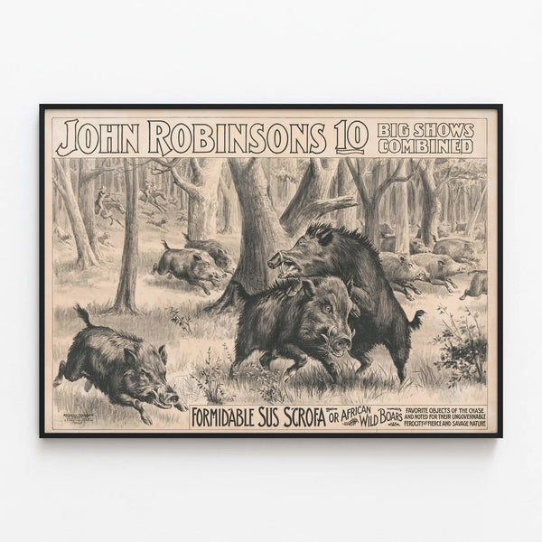 Vintage poster of African wild boars - John Robinsons 10 Big Shows — framed artwork on a wall