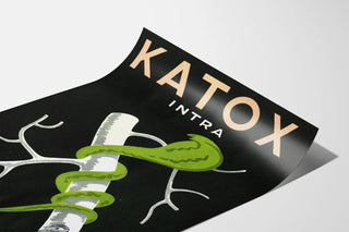 Vintage advertising poster Katox Seaweed Intra