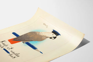 Vintage parrot poster with navy cap Keep It Under Your Hat