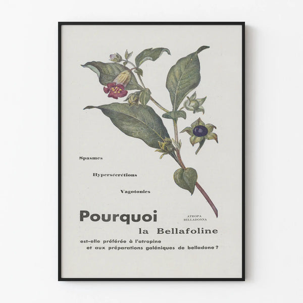 Vintage Botanical Poster Bellafoline - Nature Wall Decoration