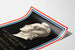 Wall Decoration Poster Liberty for France