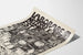 Screen-Printed Poster Laborare Necesse Est 1976
