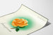 Decorative poster Lebensfreude with orange-pink rose and green halo Artem Legrand