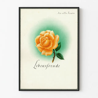 Decorative poster Lebensfreude with orange-pink rose and green halo Artem Legrand