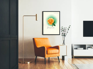 Decorative poster Lebensfreude with orange-pink rose and green halo Artem Legrand