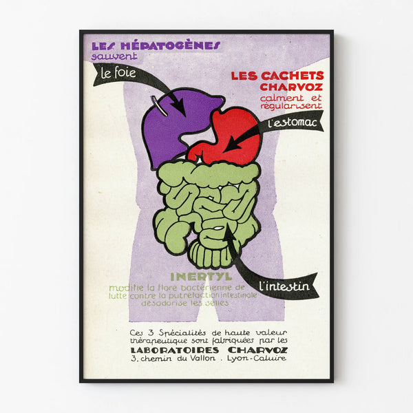 Framed Laboratoires Charvoz poster with purple liver, red stomach and green intestines