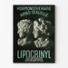Vintage Poster on Hormone Therapy Ambo-Sexual Lipocrinyl Derol