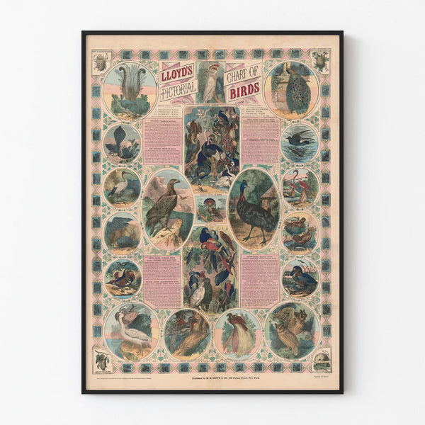 Vintage Poster of Birds - Artistic Animal Illustration
