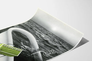 Vintage poster LucosalGue seaweed bath
