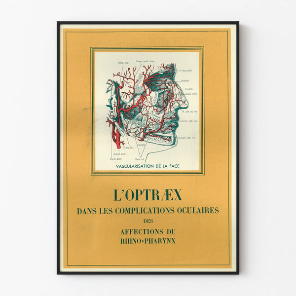 Vintage Anatomical Poster - Facial Vascularization in Eye Disease
