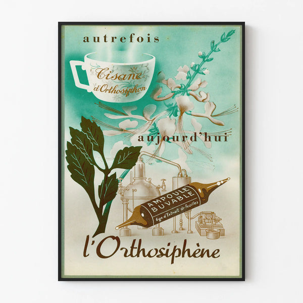 Vintage poster of Orthosiphène herbal tea for wall decoration