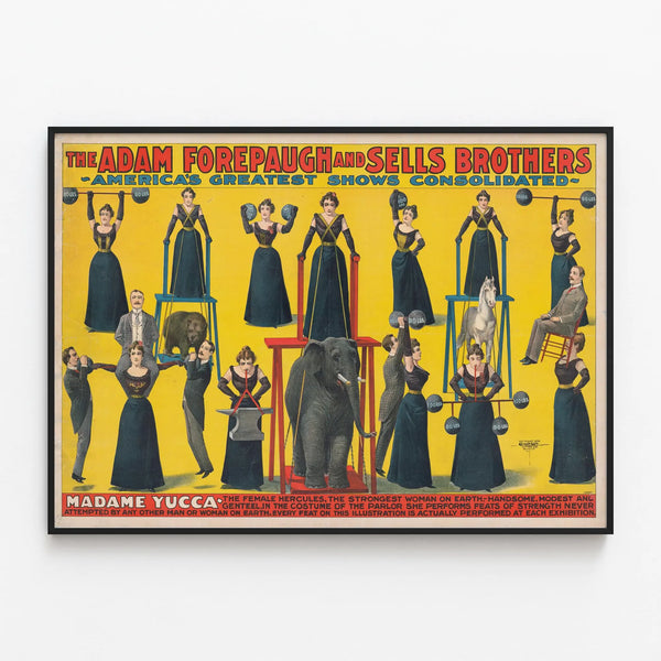 Vintage Poster Madame Yucca The Strongest Woman in the World — framed artwork on a wall