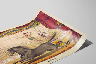 Vintage circus poster with performer and horse on stage — artwork view