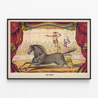 Vintage circus poster with performer and horse on stage — framed artwork on a wall