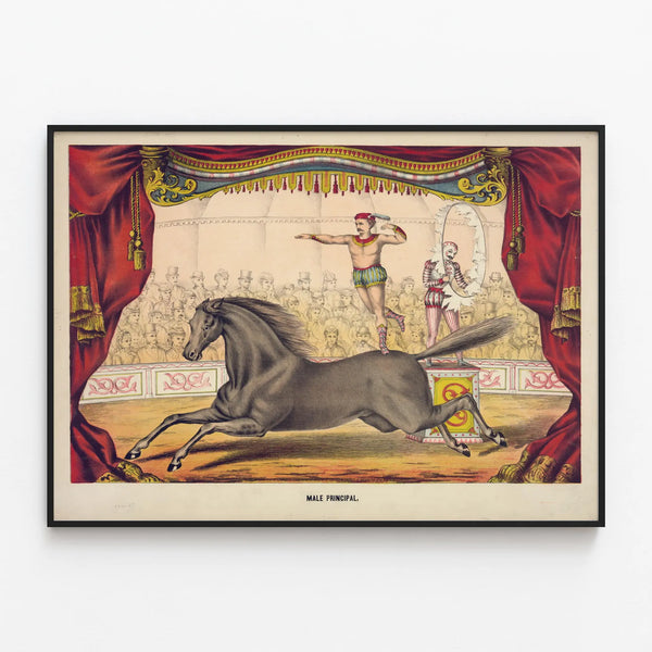Vintage circus poster with performer and horse on stage — framed artwork on a wall