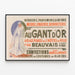 Vintage Poster for Haberdashery, Perfumery, Ganterie, Fashion, Lingerie, and Hosiery — framed artwork on a wall