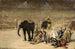 L'Entrée des Clowns - Émile Friant — artwork view