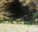 The Wanderer - Émile Friant — artwork view