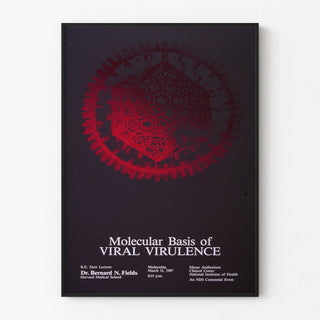 Scientific poster on the molecular basis of viral virulence