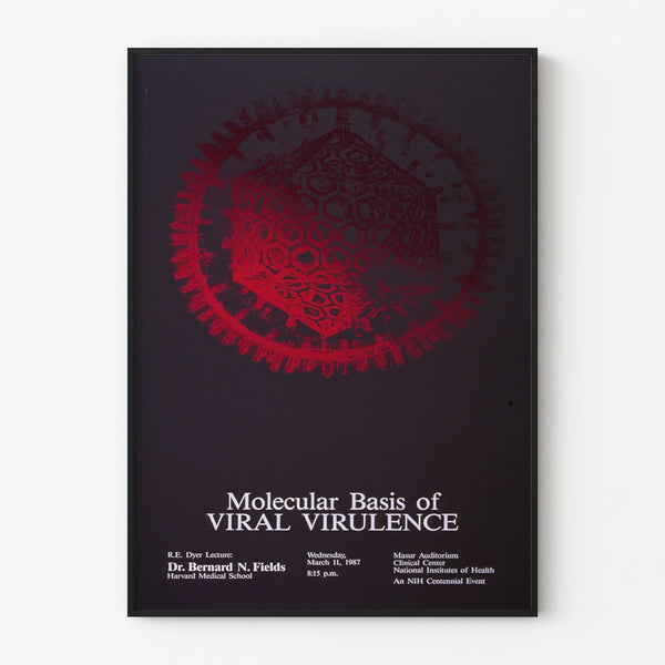 Scientific poster on the molecular basis of viral virulence