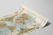Wall Poster World Map Distribution of Fur Animals — artwork view