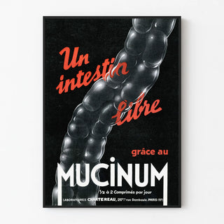 Vintage Medical Poster Intestine Libre Mucinum