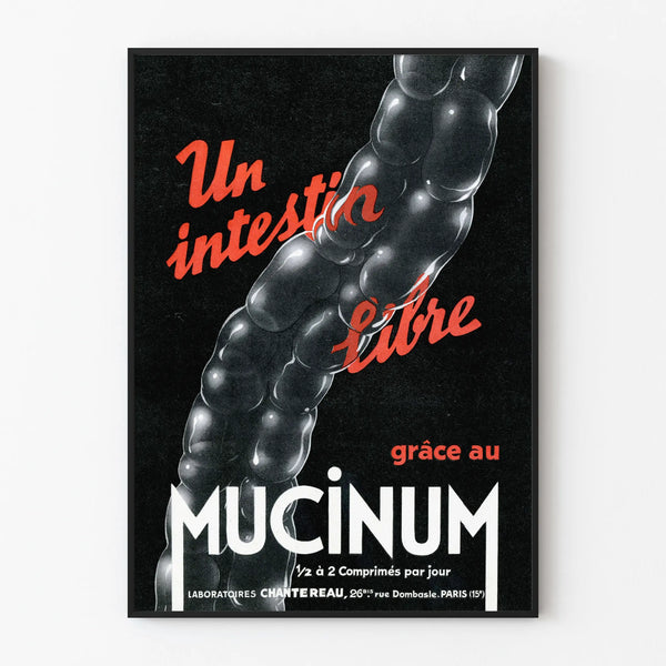 Vintage Medical Poster Intestine Libre Mucinum