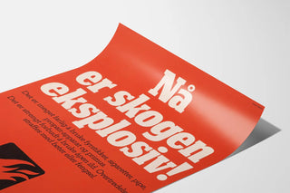 Vintage Norwegian Fire Prevention Poster