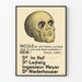Vintage German political poster caricature of a skull