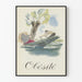 Vintage poster Obesity illustration boating