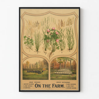 Vintage educational poster on farm plants and animals