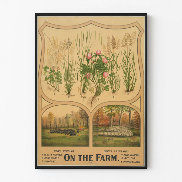 Vintage educational poster on farm plants and animals
