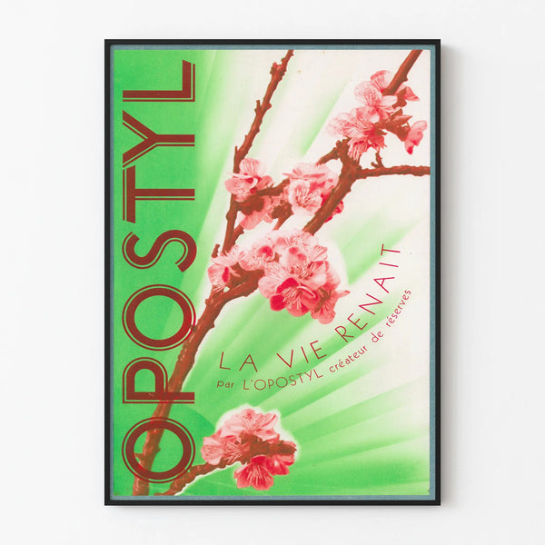 Opostyl Poster The Rebirth of Life with Spring Flowers