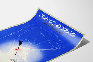 Vintage poster of Sedo-Hémostatic Ovules by R. Letellier
