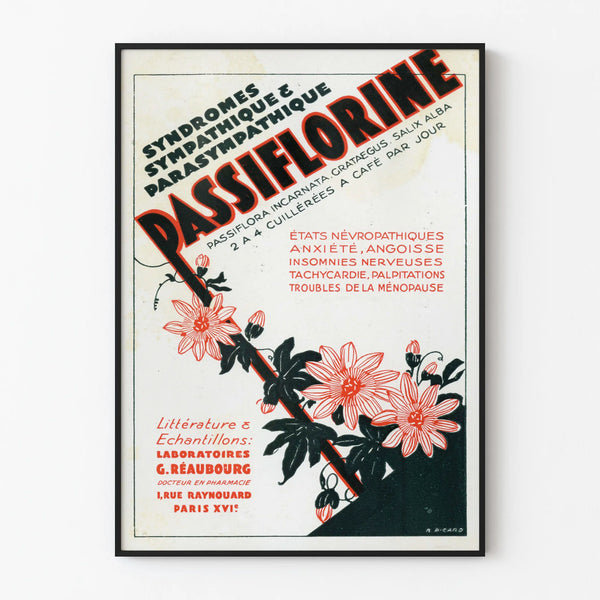 Vintage Poster Passiflorine Botanical Wall Decoration