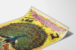 Vintage Peacock Styles Poster Anchor Buggy Co.