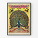 Vintage Peacock Styles Poster Anchor Buggy Co.
