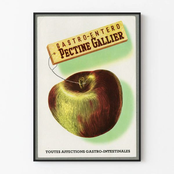 Vintage advertising poster Pectine Gallier wall decoration