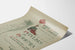 Vintage poster Phyllis in Bohemia with peacock feather and puppet