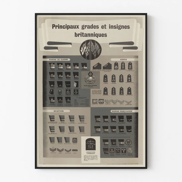 Vintage poster of the main British ranks and insignia