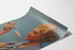 Vintage advertising poster for Rivoire & Carret macaroni