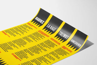 Multilingual educational poster against animal smuggling for rabies prevention