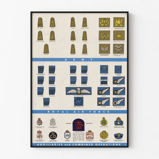 Poster Ranks and Insignia of the British Forces - Military Wall Decoration