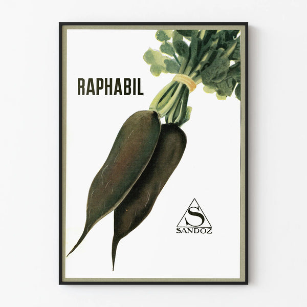 Vintage poster Raphabil Sandoz for wall decoration