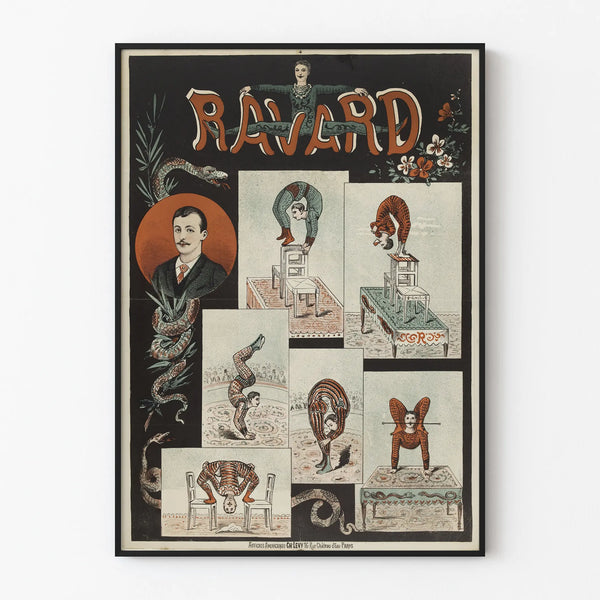 Vintage Ravard Acrobat Poster - Circus Wall Decoration